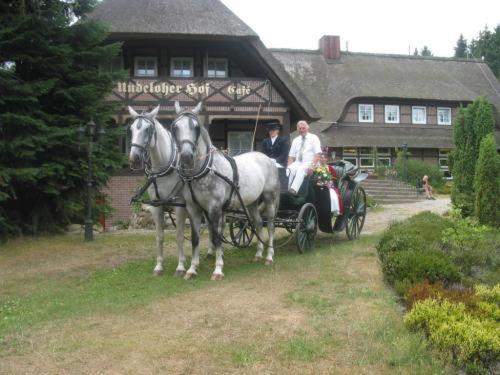 Undeloher Hof Hotel Undeloh